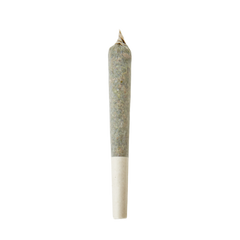 Single premium cannabis pre-roll downtown Raleigh from Haven Herb Garden Bar