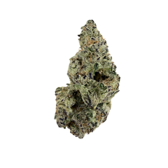 Green cannabis bud on a white background