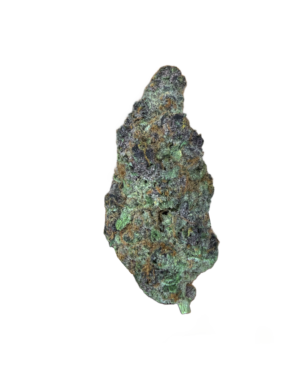 TROPICAL CHERRY [SATIVA HYBRID]