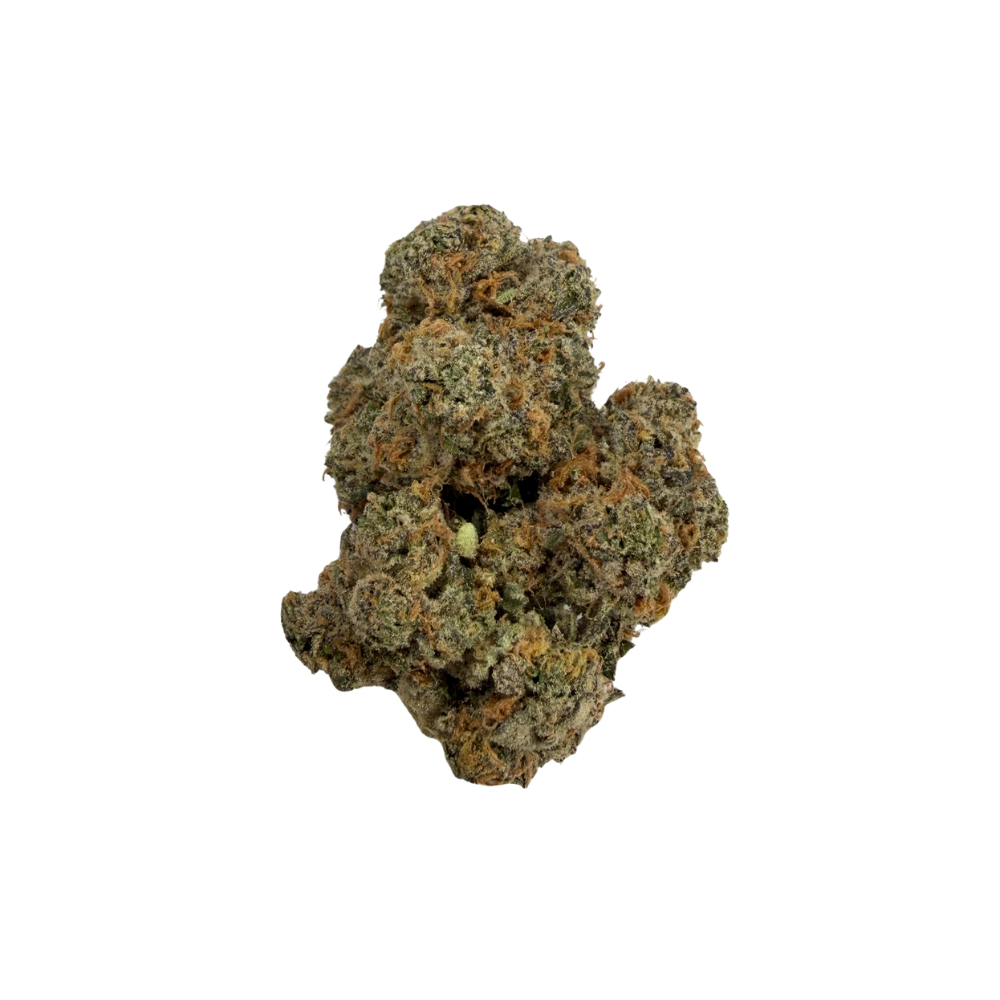 HI CHEW [INDICA HYBRID]