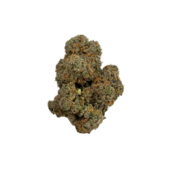 HI CHEW [INDICA HYBRID]