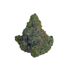 BLUE DREAM [SATIVA-DOMINANT HYBRID]