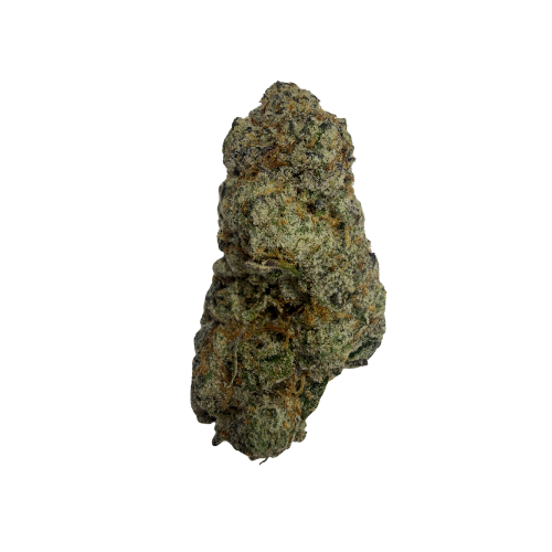GAS STATION CANDY [HYBRID]