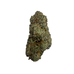 GAS STATION CANDY [HYBRID]