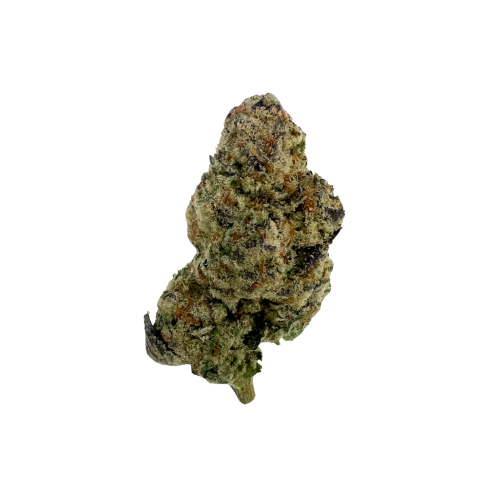 GASTRONAUT [INDICA HYBRID]