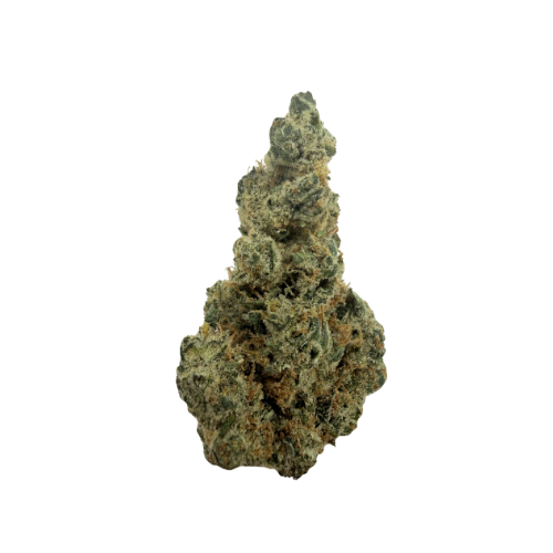 LEMON TREE [SATIVA HYBRID]