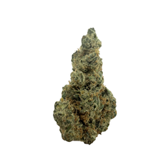 LEMON TREE [SATIVA HYBRID]