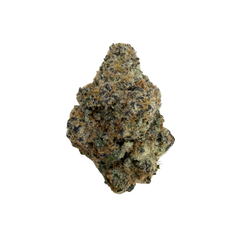 BLACK BACCARA [INDICA HYBRID]
