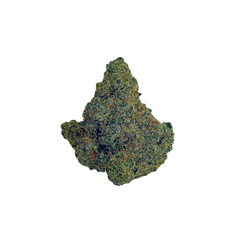 BLUE DREAM [SATIVA-DOMINANT HYBRID]