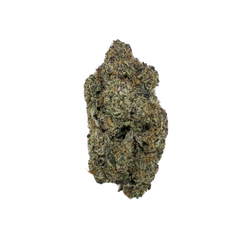 ICE CREAM CAKE [INDICA]