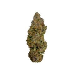 SUPER BOOF [HYBRID]
