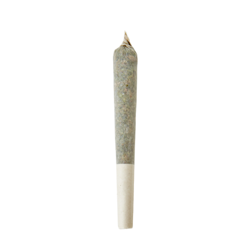 Premium cannabis preroll Raleigh from Haven Herb Garden Bar isolated on black background