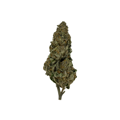 PUCKER UP [INDICA HYBRID]