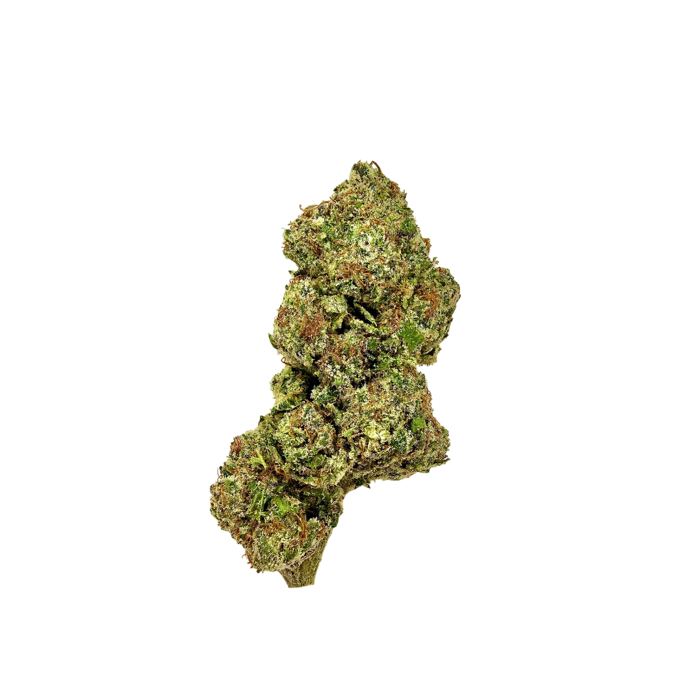 RUNTZ X JEALOUSY [HYBRID]