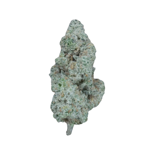 SNOW CONE [SATIVA HYBRID]