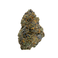 STRAWBERRY GARY [SATIVA HYBRID]