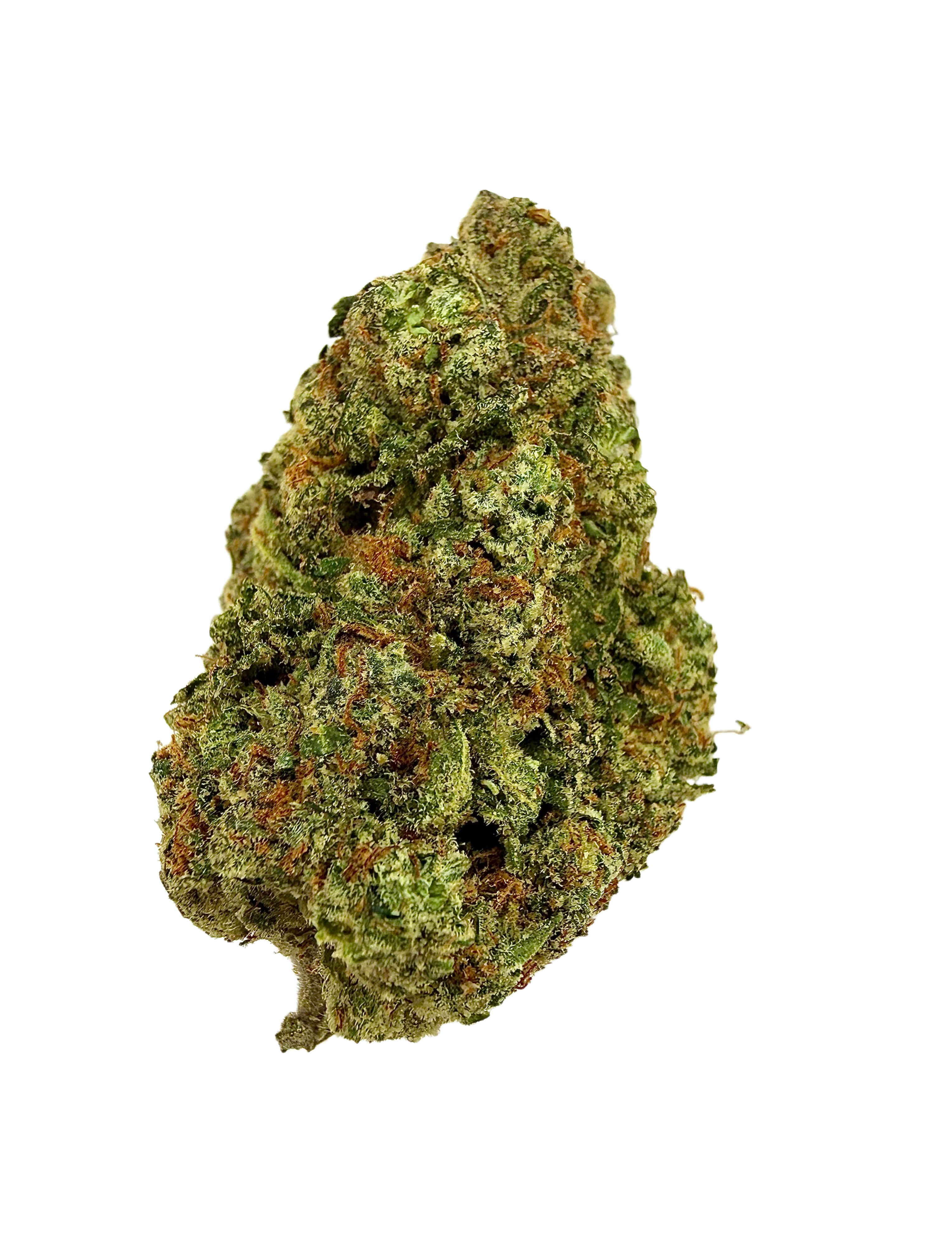 TRAINWRECK EXPRESS [SATIVA HYBRID]