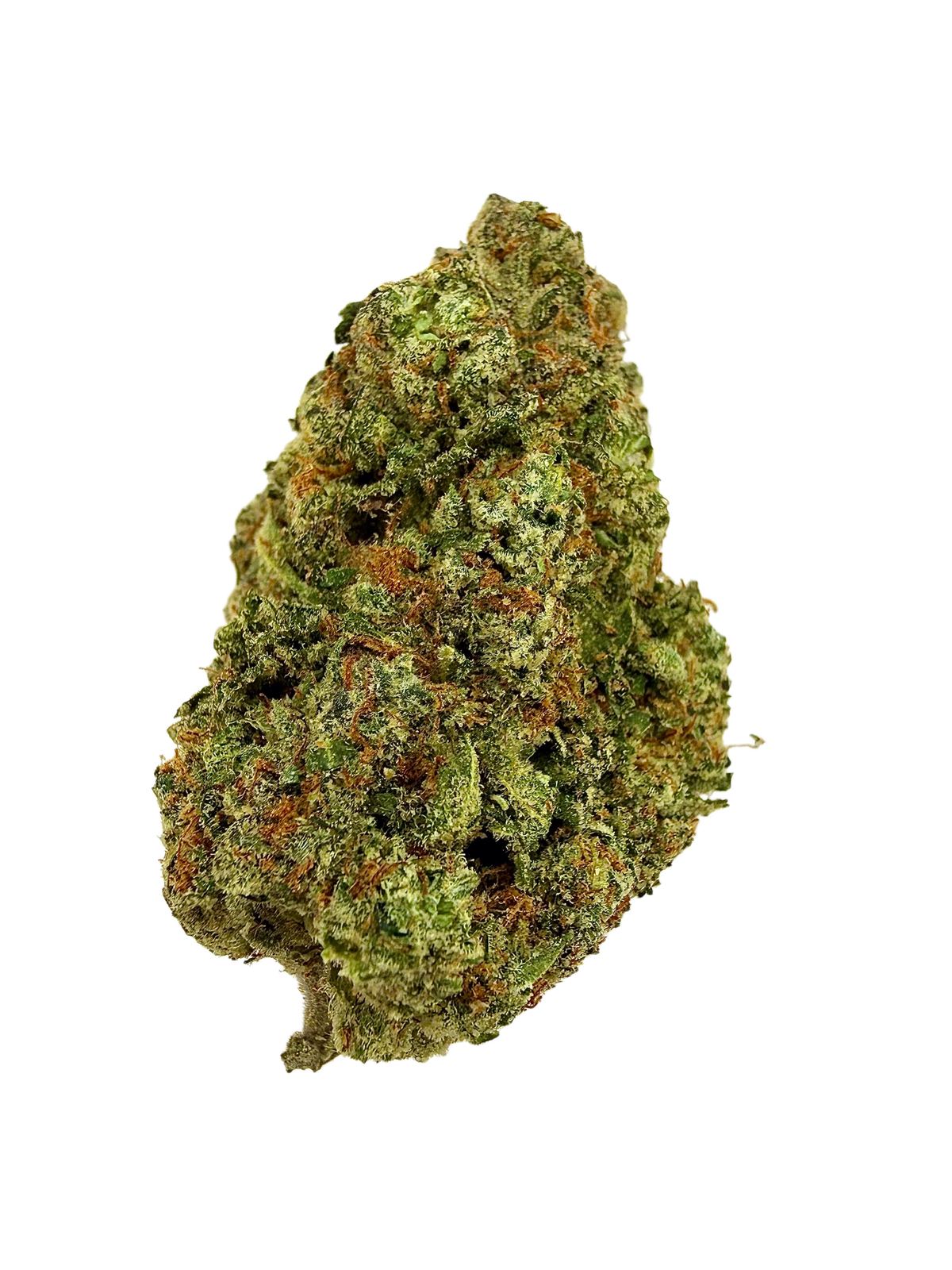 TRAINWRECK EXPRESS [SATIVA HYBRID]