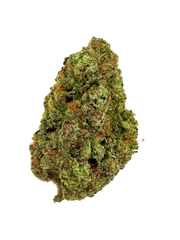 TRAINWRECK EXPRESS [SATIVA HYBRID]